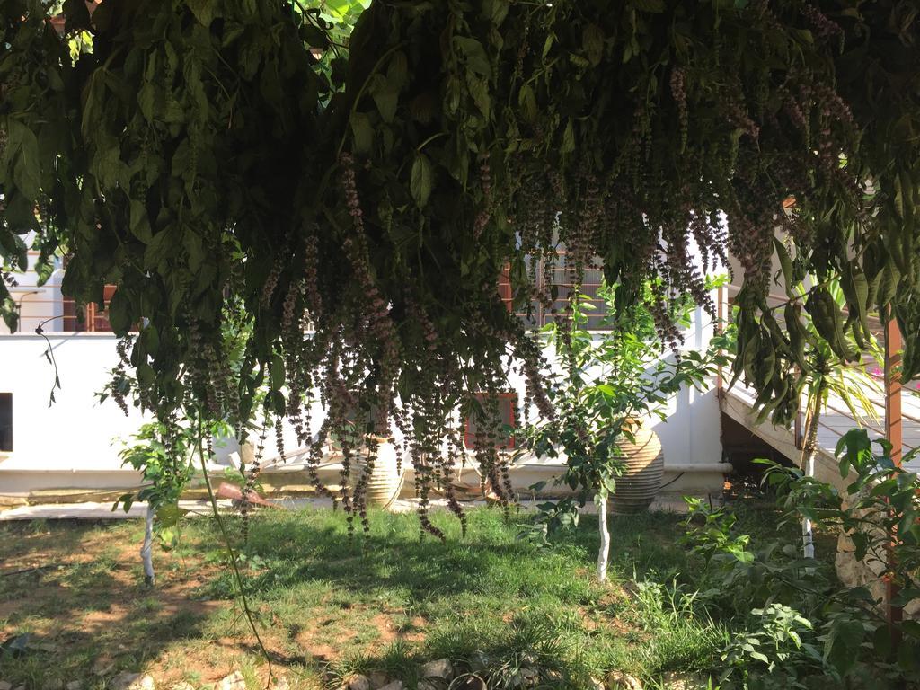 Hani Inn Lygourio Exterior foto